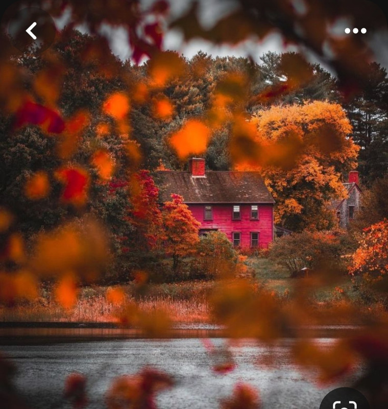 Screenshot_20231201_000834_Pinterest