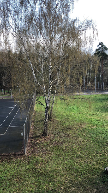 FF0FEF7F-3B7B-4950-BA06-0349ABC47271