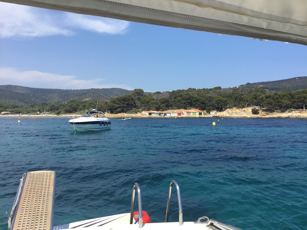 E42D85BA-87B0-44FA-9976-7C4A7E77FB86