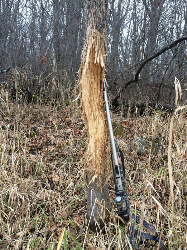 812F0C71-ED29-4C71-A28F-90CAAEE65ECA