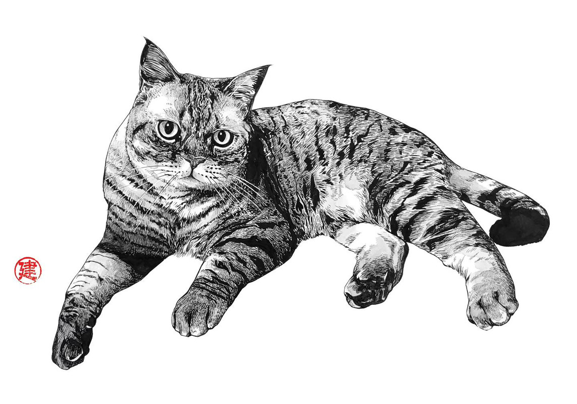 48