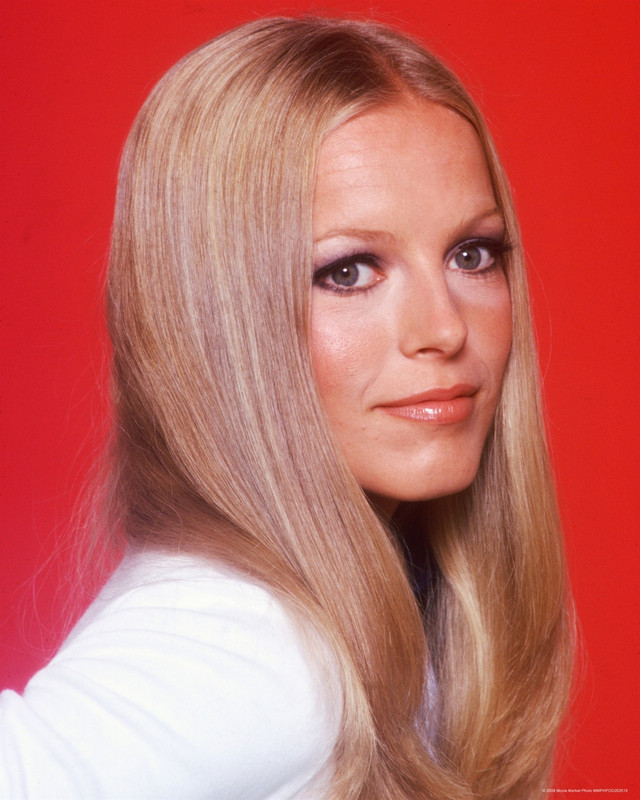 cheryl_ladd_d86