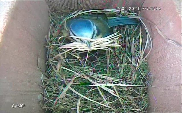 A26BF77E-3D4C-47F2-AB2A-EADA63EFB103