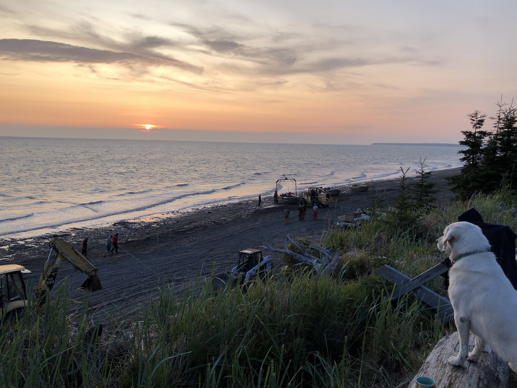 41588903-69A3-48B5-A2B2-425C94842227