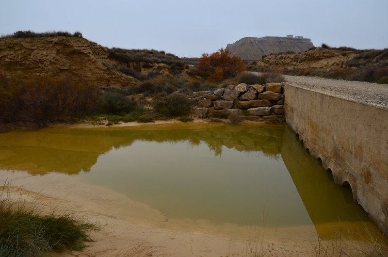 Navarra y sus pueblos-2015 - Blogs de España - Las Bárdenas Reales-15-11-2015 (28)