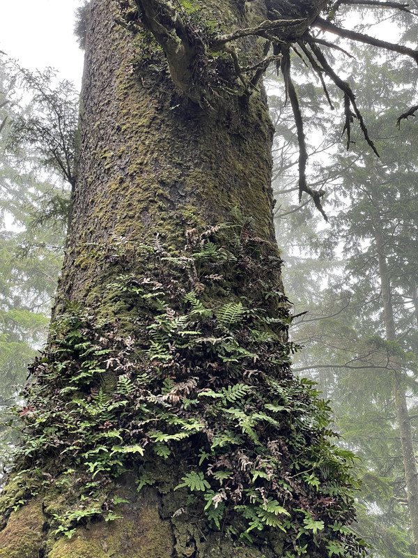 5A9339B1-B4A0-4770-B592-1ABA63E2D7F8