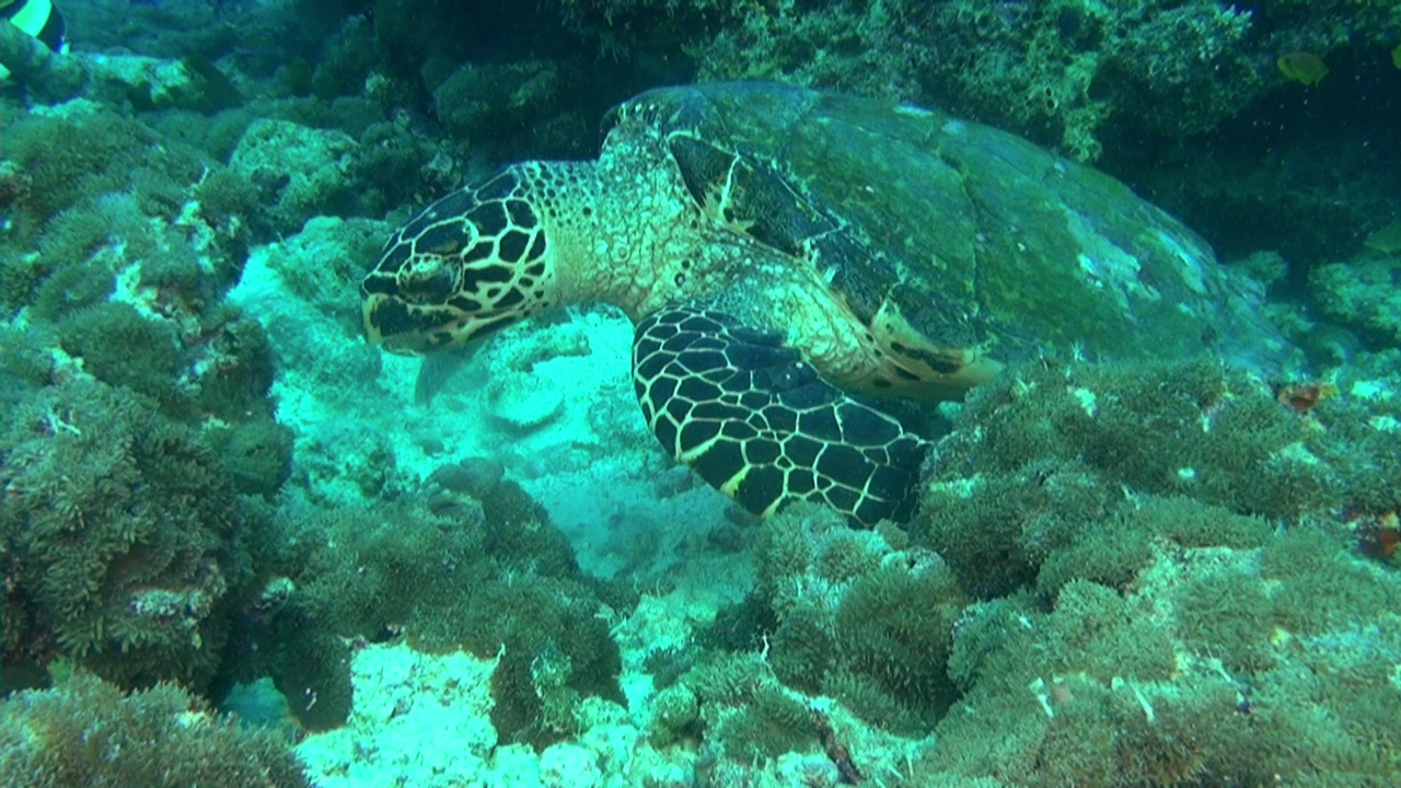 vlcsnap-2023-12-21-21h30m07s076