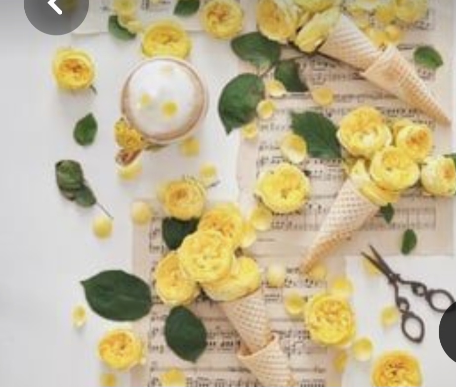 Screenshot_20230328_003816_Pinterest