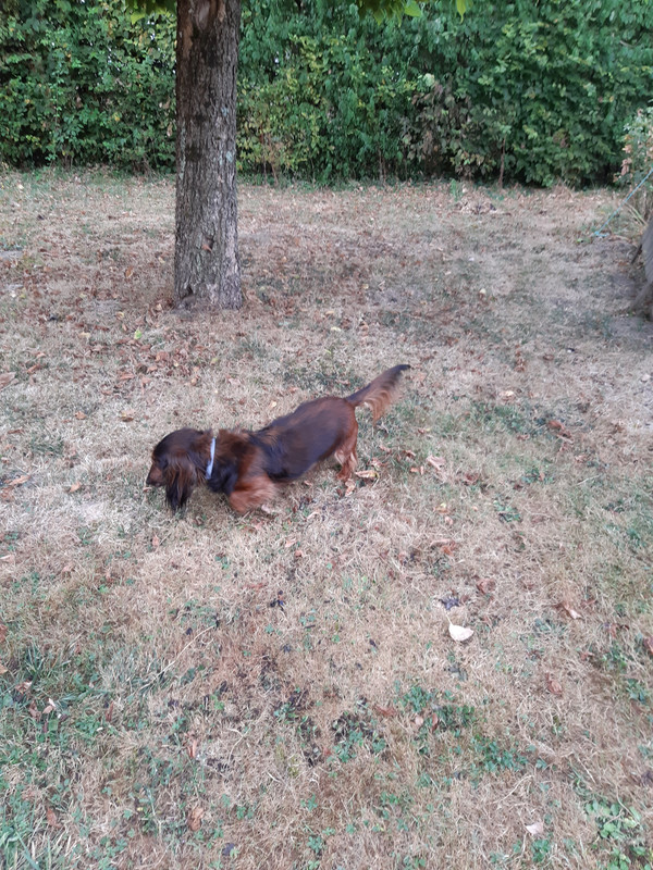 [Image: 20200819-081045.jpg]