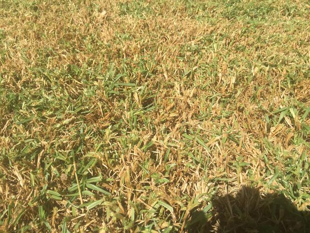 933F6376-E941-419A-85F9-D18A74B8C903