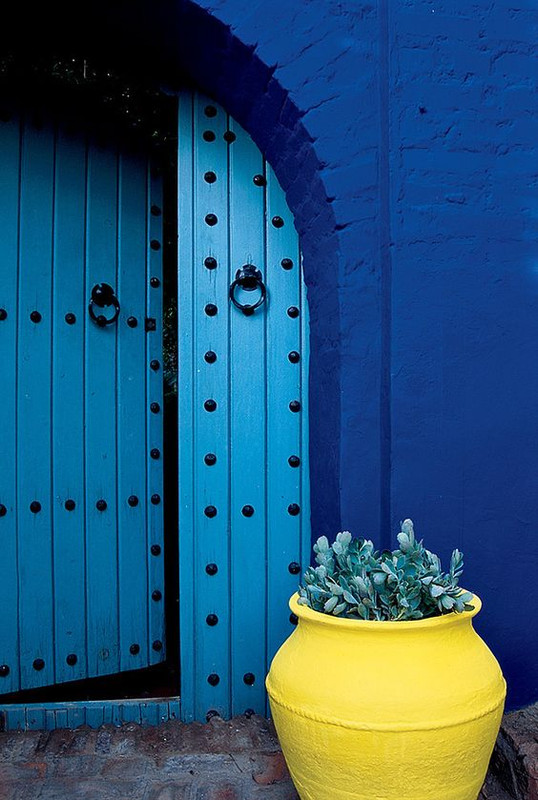 yellowplantpot.jpg