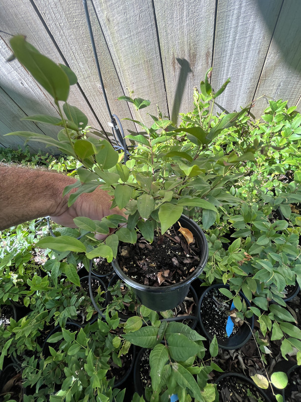 3006709A-1F3F-401C-9591-FAE15F42491A