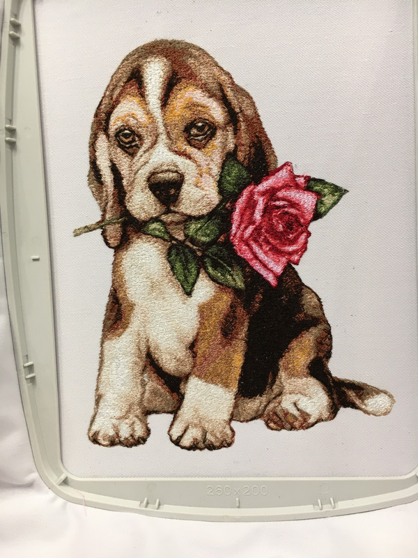 F0008C42-4F9E-4D95-AF71-B9D6E21C825B