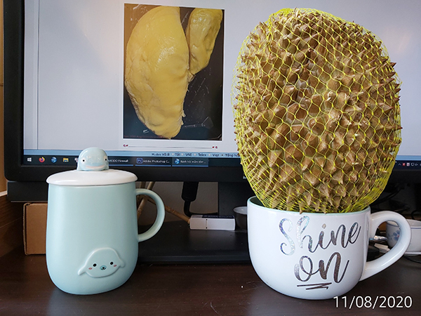 [Image: IMG-20200811-171555.jpg]