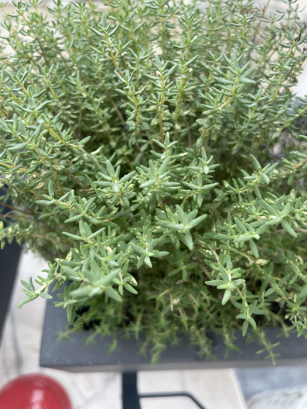 5B2E070B-8831-4C83-AF9E-809B2740F856