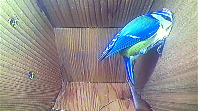 85D16CD2-A308-4219-854B-F22A3208D5CF