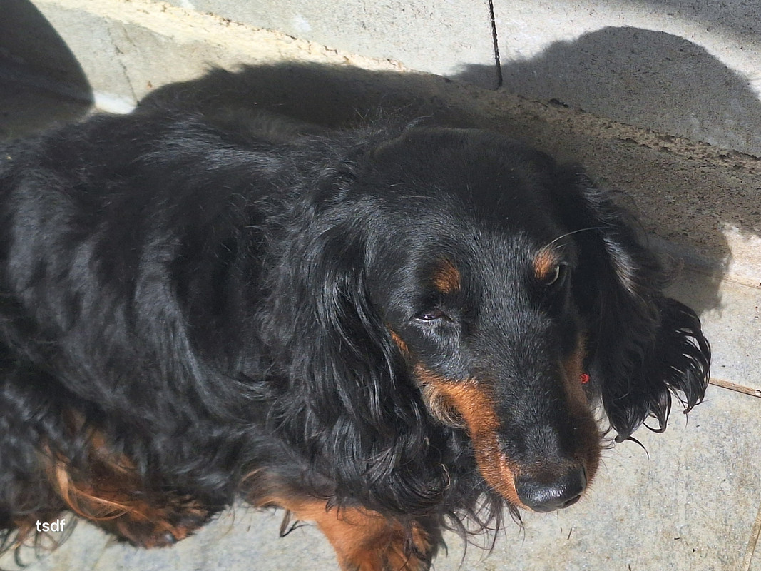 [Image: 20250529-094314.jpg]