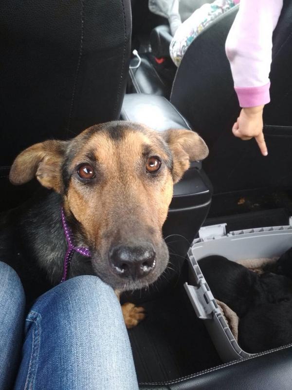 Марта малятко9