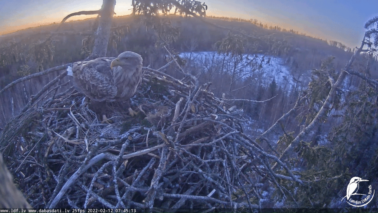 Webp.net-gifmaker (2)