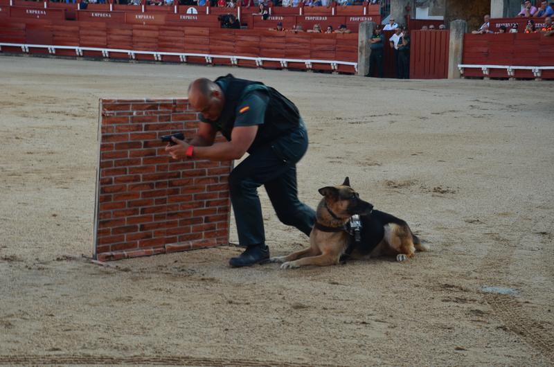 Exhibición Guardia Civil-30-9-2016 - Toledo y sus pueblos-1996/2026 (37)