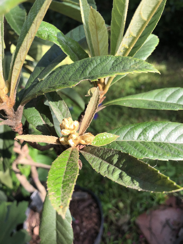 9811EDAD-EE88-45B3-B27A-C448C9681FB3