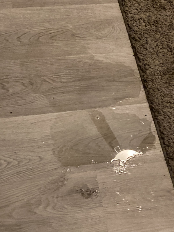 C3DA50A8-28AC-4DBB-96DF-AFCA35F3CDB5