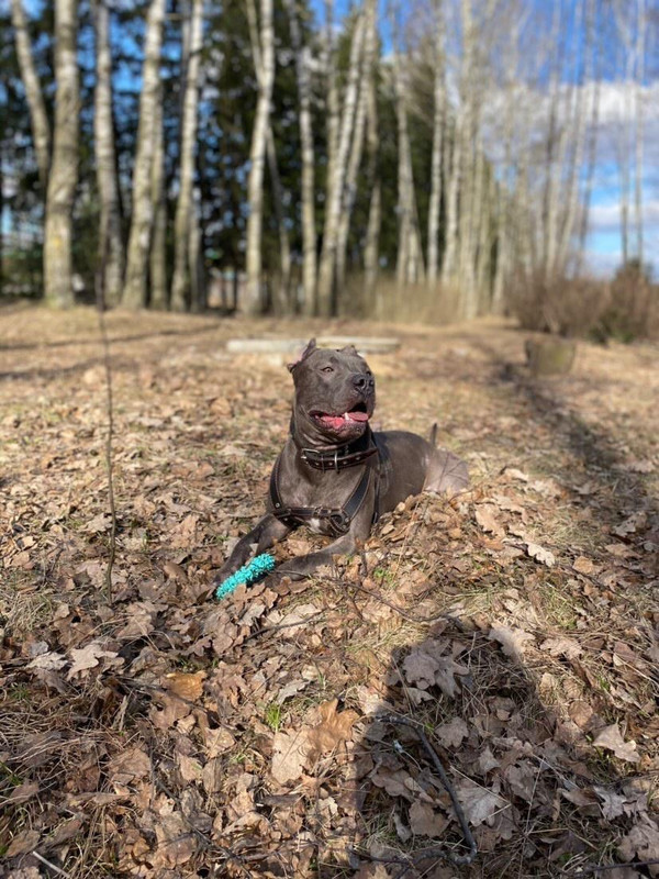 6118B6B5-5701-4642-BEE8-2BB276DB8690