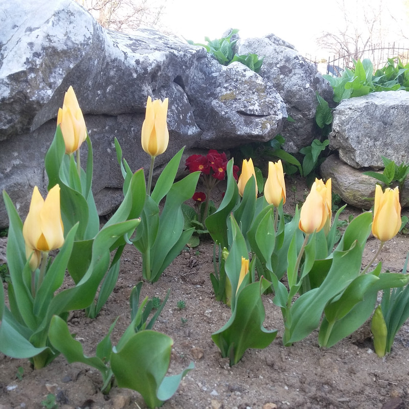 20190324_174751