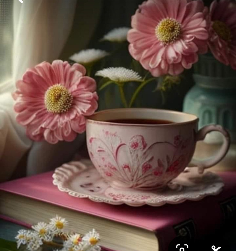 Screenshot_20240712_124529_Pinterest