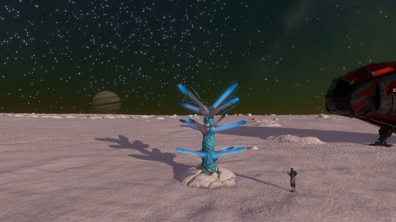 2025 10 24 201210 Vegnue YM F c26 124 4 a