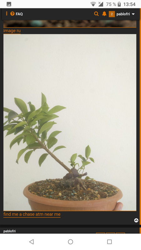 Screenshot_20200308-135418