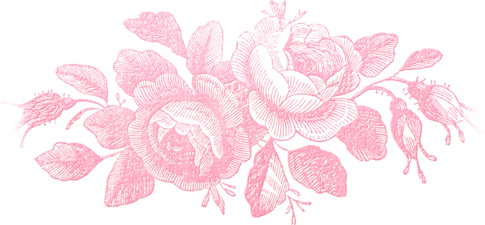 Roses4