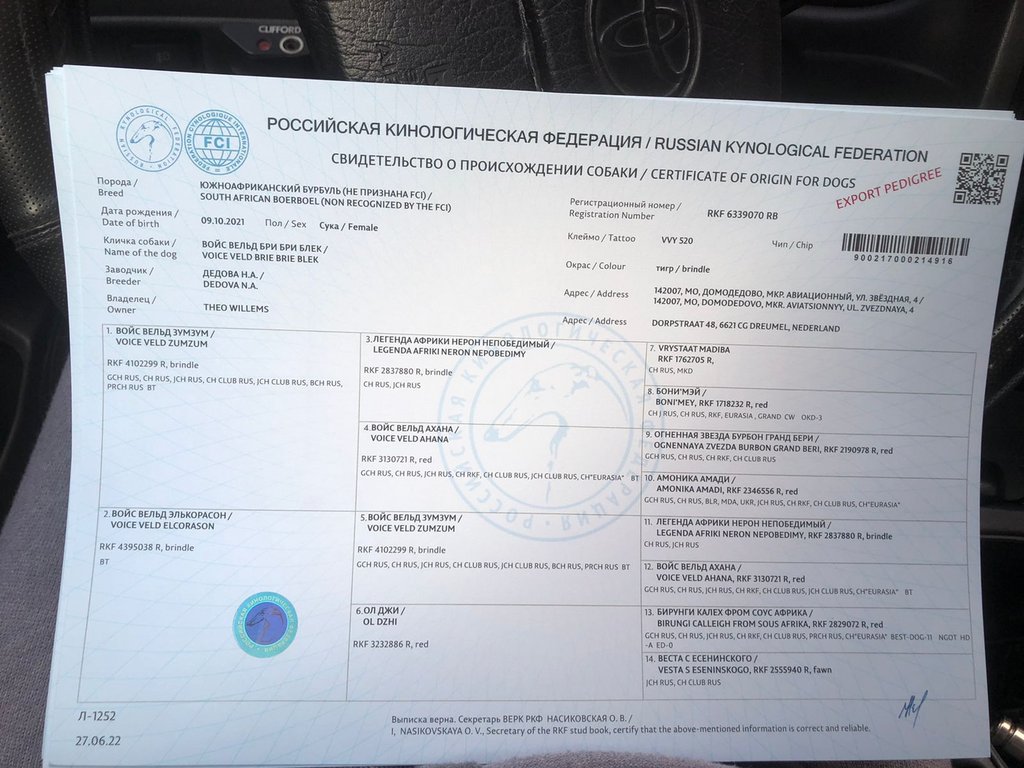 https://i.postimg.cc/SsCsh78w/IMG-20221024-WA0008.jpg