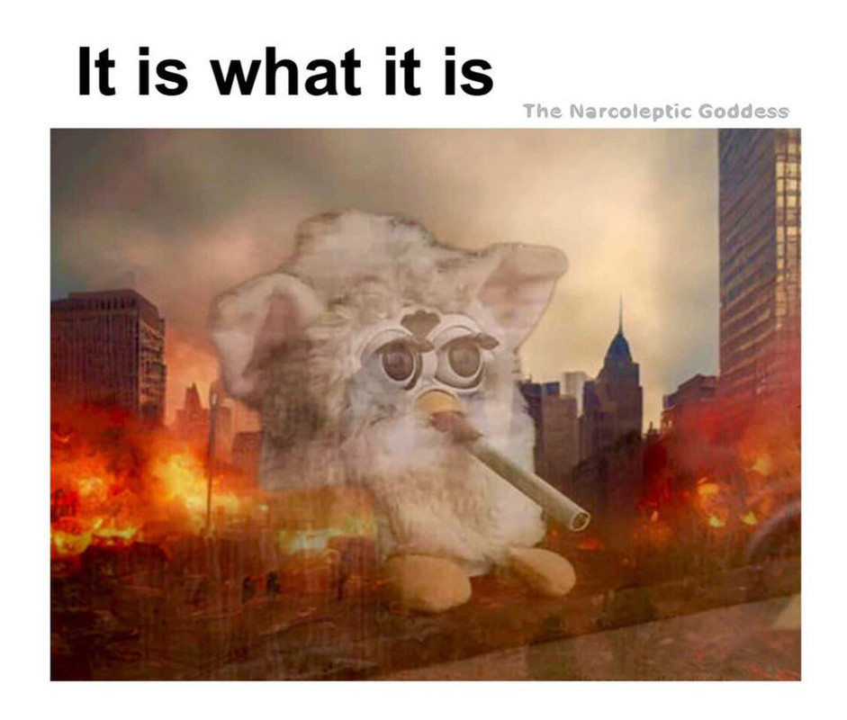 It is what it is