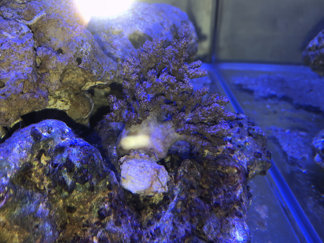 F451DD6D-BB37-49E8-A0F5-3995F567F1EA