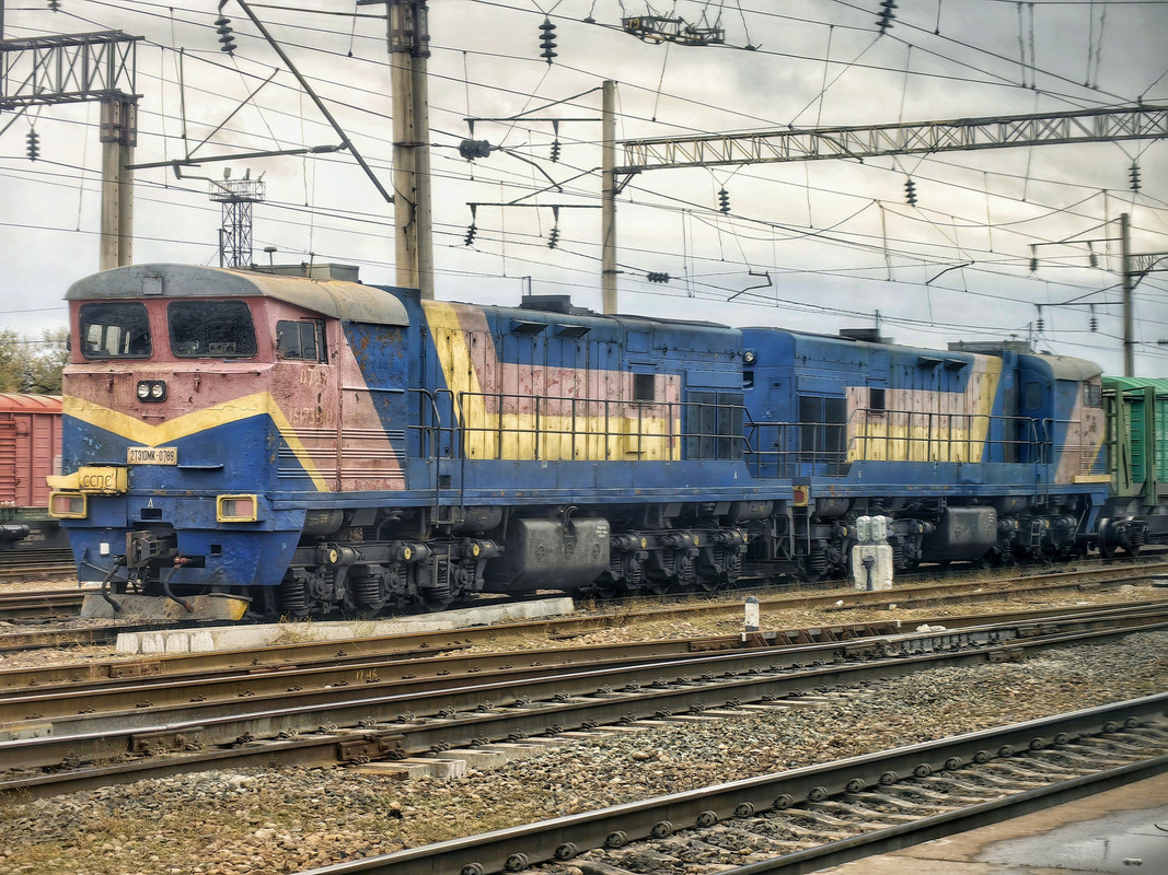 IMG_20241016_145032-01-01