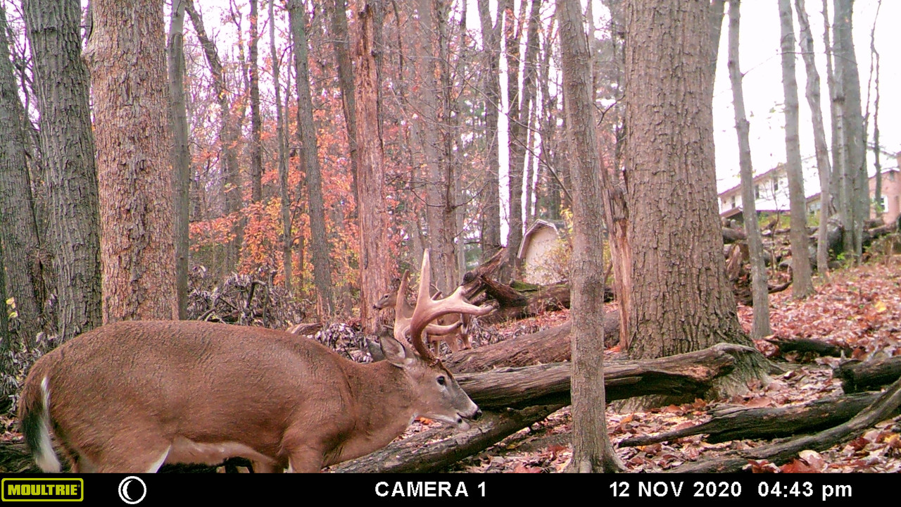 8908FFD2-36C9-4C62-8E29-A646ECC81CDE