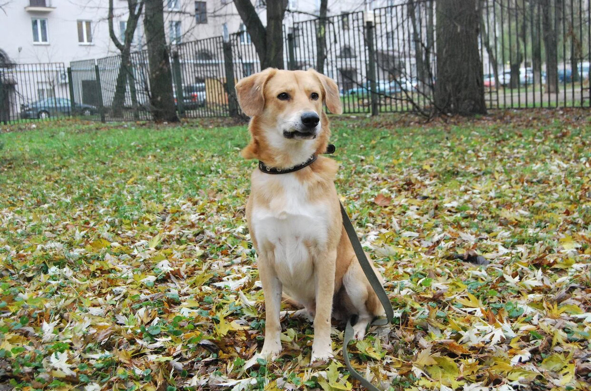 F2DDECA7-D78A-40F1-AB4A-AB5F6F158A49