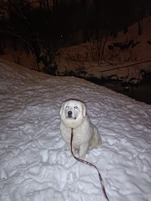 317D699E-074F-4E35-BA77-54597B6E747A