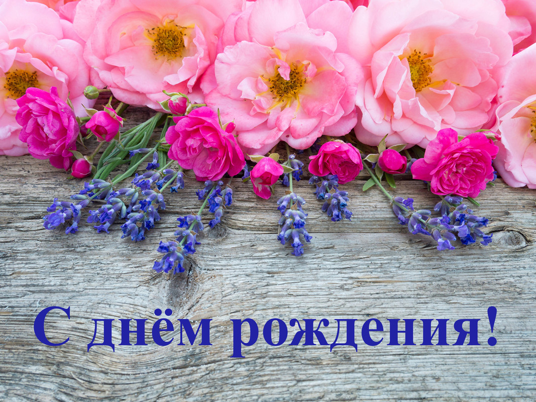 https://i.postimg.cc/SsDV97ws/1799.jpg
