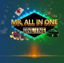 Mr. All in One