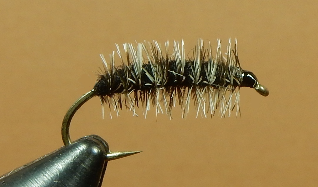 CK-Nymph-1080.jpg