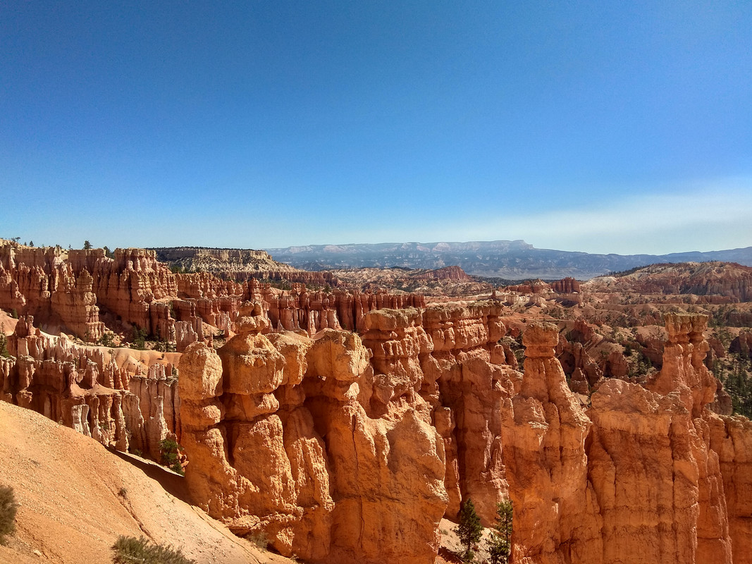IMG_20180914_110147_HDR