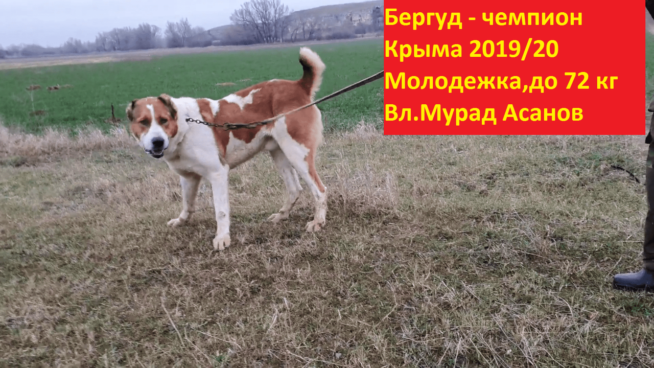 Безымянный (1)