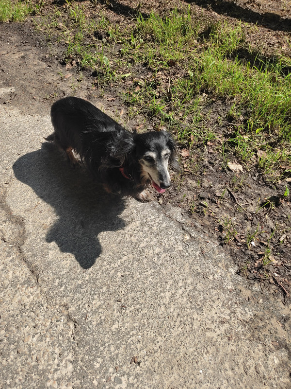 [Image: IMG-20250615-165543.jpg]