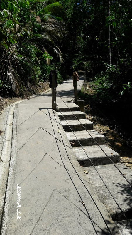 20190319-115820.jpg