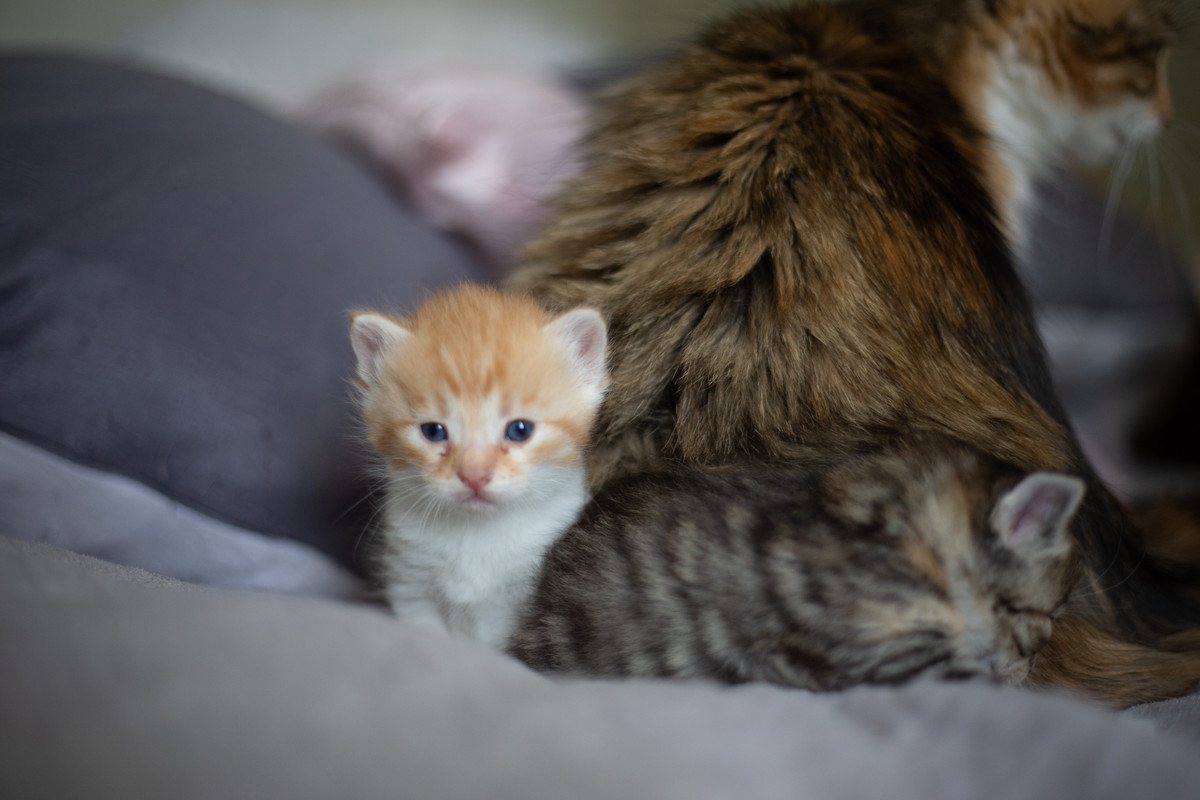 9130B008-7329-4189-A8E9-22AB60F88987