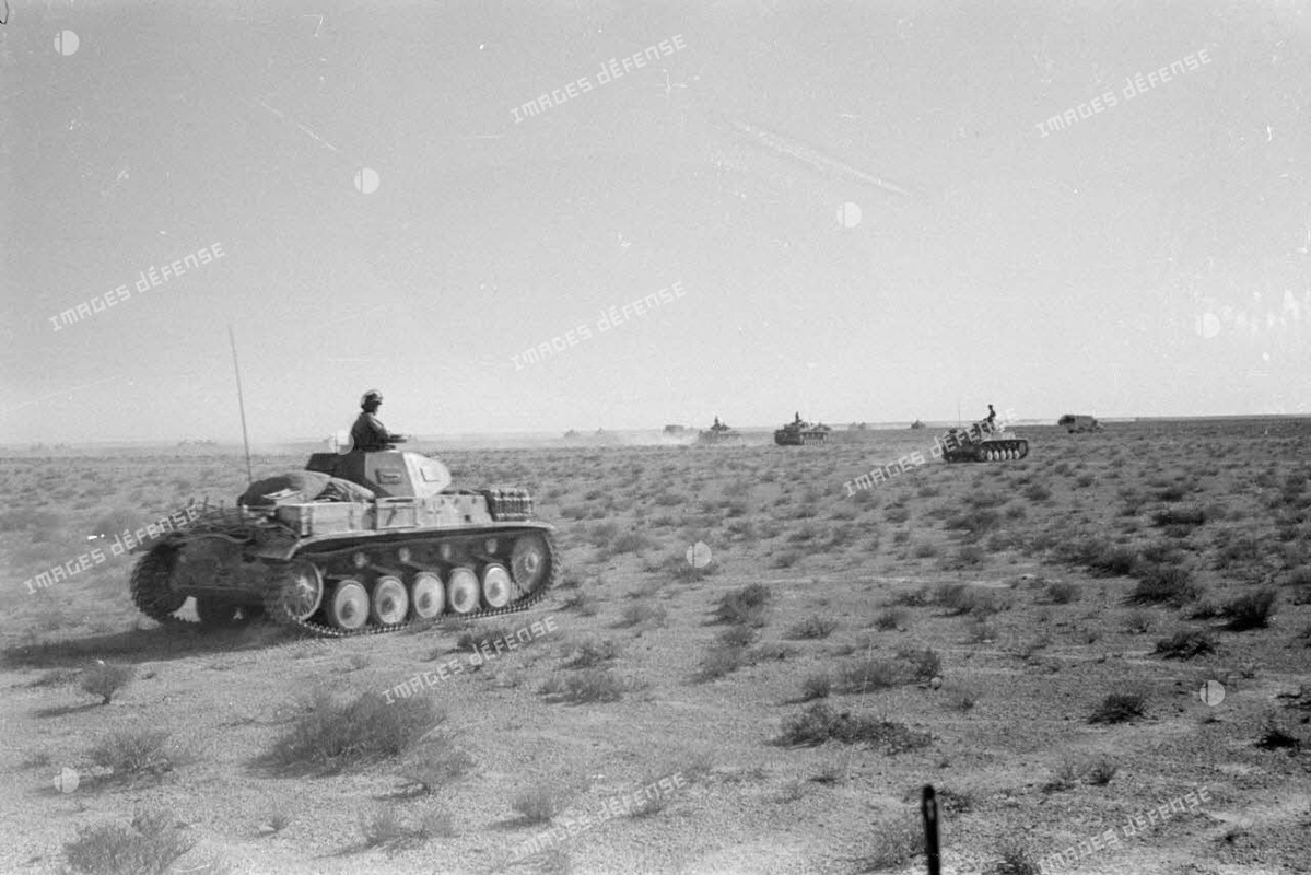 Eléments du Panzer Regiment 8 (Pz.Rgt-8) en formation de combat. (2)