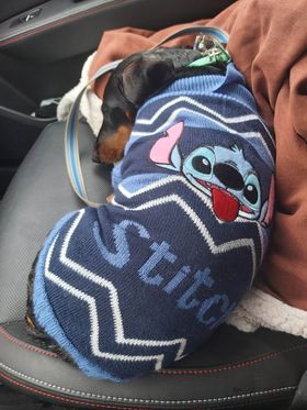 [Image: 336643566-6104378612976878-7397776721367412866-n.jpg]