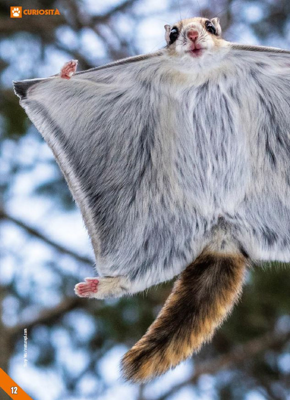 Foc Wil - Mar 2024 (1)